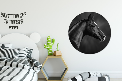 Behangcirkel - Paard - Dieren - Zwart - Wit - Portret-2