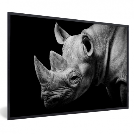 Poster mit Rahmen - Tiere - Nashorn - Schwarz - Weiß - Porträt - Horizontal