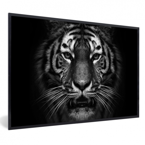 Poster mit Rahmen - Tiger - Tiere - Schwarz - Weiß - Porträt - Wild - Horizontal-thumbnail-1