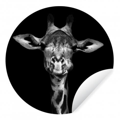 Behangcirkel - Giraffe - Portret - Dieren - Zwart - Wit-thumbnail-1