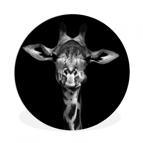 Muurcirkel - Giraffe - Portret - Dieren - Zwart - Wit-thumbnail-1