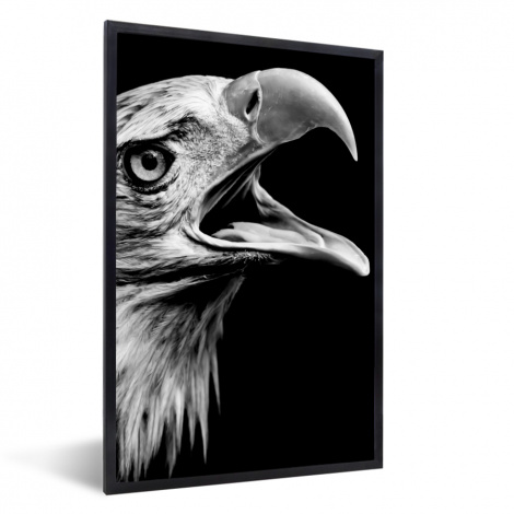 Poster met lijst - Adelaar - Portret - Roofvogels - Zwart - Wit - Vogel - Staand-1