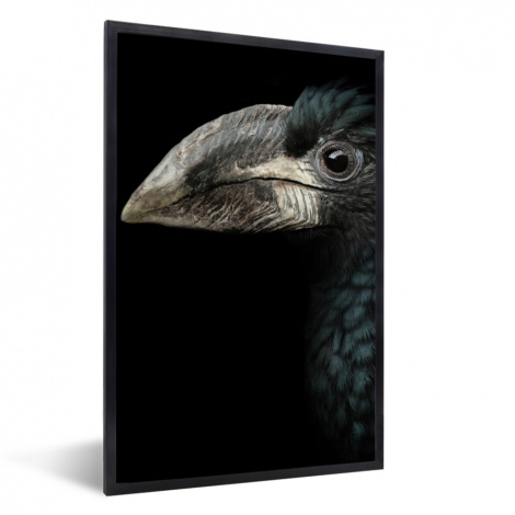 Poster met lijst - Vogel - Portret - Neushoornvogel - Zwart - Dieren - Staand-thumbnail-1