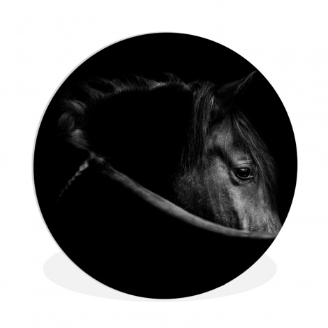 Muurcirkel - Paarden - Portret - Zwart - Dieren-1