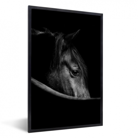 Poster met lijst - Paarden - Portret - Zwart - Dieren - Staand