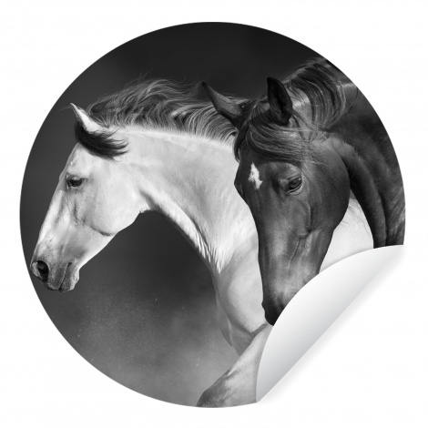 Runde Tapete - Pferde - Tiere - Schwarz - Weiß - Porträt