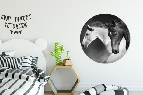 Behangcirkel - Paarden - Dieren - Zwart - Wit - Portret-thumbnail-2
