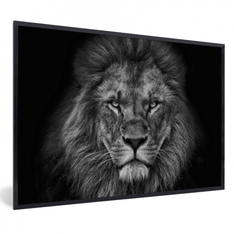 Poster mit Rahmen - Löwe - Tiere - Schwarz - Weiß - Horizontal