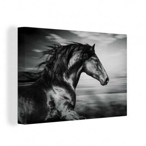 Canvas schilderij - Paard - Dieren - zwart - Wit-thumbnail-1