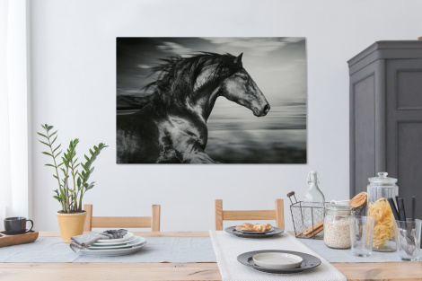 Canvas - Paard - Dieren - zwart - Wit-thumbnail-4