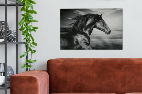 Canvas schilderij - Paard - Dieren - zwart - Wit-thumbnail-2