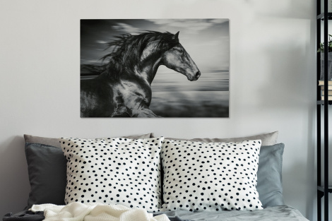 Canvas schilderij - Paard - Dieren - zwart - Wit-thumbnail-3