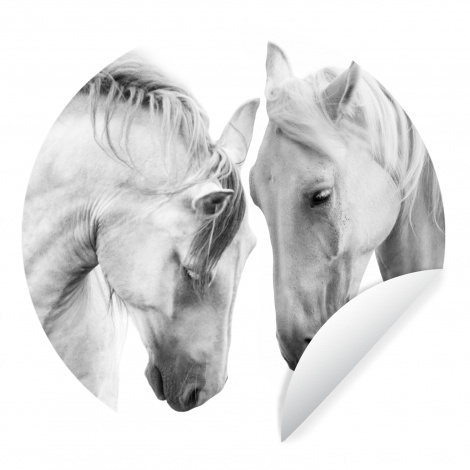 Runde Tapete - Pferd - Tiere - Porträt - Weiß