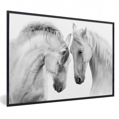 Poster mit Rahmen - Pferd - Tiere - Porträt - Weiß - Horizontal-thumbnail-1