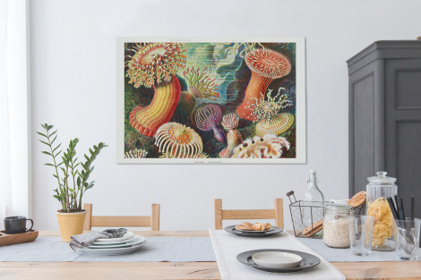 Leinwand - Ernst Haeckel - Anemone - Retro - Actinae-4