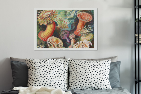 Leinwand - Ernst Haeckel - Anemone - Retro - Actinae-3