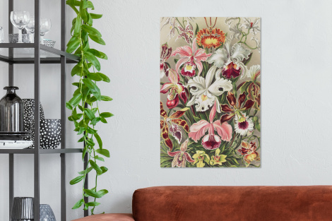 Canvas - Bloemen - Ernst Haeckel - Vintage - Orchidee-2