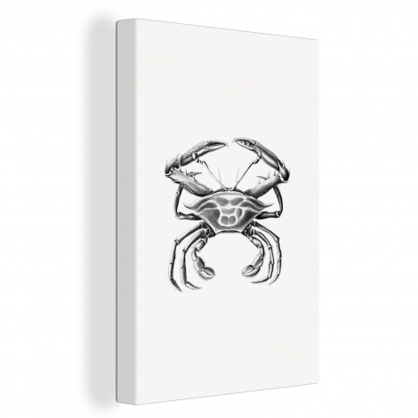 Leinwand - Ernst Haeckel - Jahrgang - Kunst - Krabbe-1
