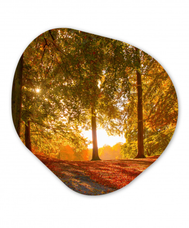 Organisches wandbild - Herbst - Licht - Wald-thumbnail-1