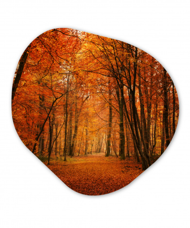 Organisches wandbild - Herbst - Rot - Wald-1