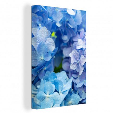Canvas - Hortensia - Waterdruppel - Bloemen - Botanisch - Blauw-thumbnail-1