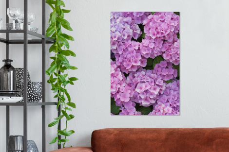 Leinwand - Blumen - Hortensie - Strauch - Rosa - Blütenblätter-2