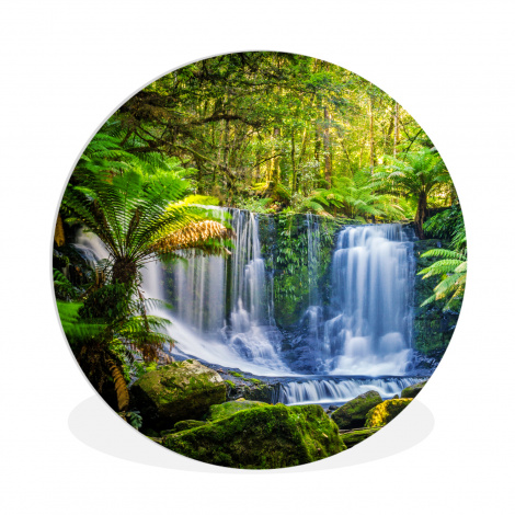 Muurcirkel - Jungle - Waterval - Australië - Planten - Natuur-thumbnail-1