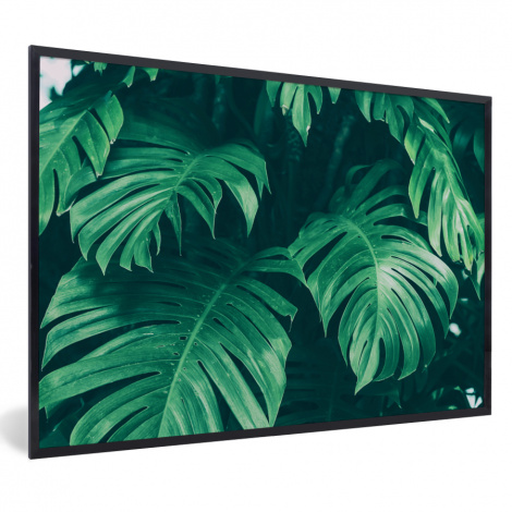 Poster mit Rahmen - Monstera - Blätter - Pflanzen - Dschungel - Natur - Horizontal-thumbnail-1