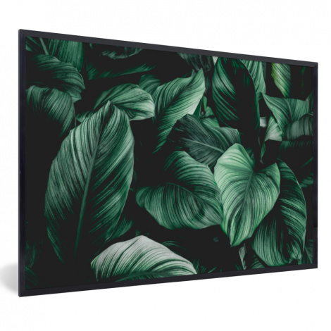 Poster mit Rahmen - Dschungel - Blätter - Tropisch - Pflanzen - Natur - Horizontal