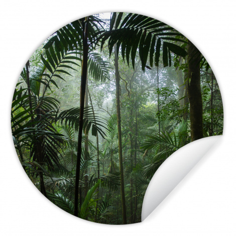 Behangcirkel - Regenwoud - Tropisch - Jungle - Bomen - Planten