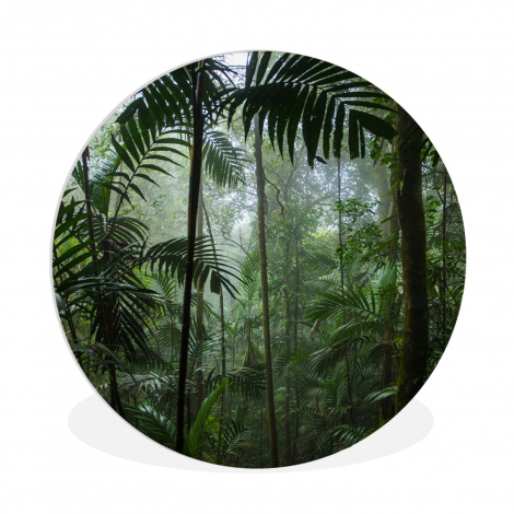 Runde Bilder - Regenwald - Tropisch - Dschungel - Bäume - Pflanzen-thumbnail-1
