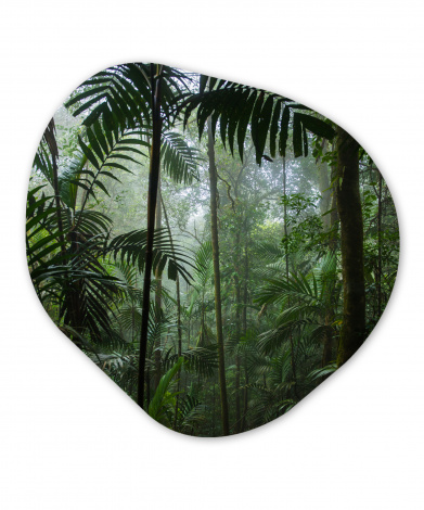 Organisch schilderij - Regenwoud - Tropisch - Landschap-1