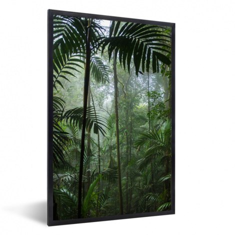 Poster mit Rahmen - Regenwald - Tropisch - Dschungel - Bäume - Pflanzen - Vertikal