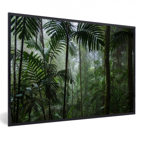 Poster mit Rahmen - Regenwald - Tropisch - Dschungel - Bäume - Pflanzen - Horizontal