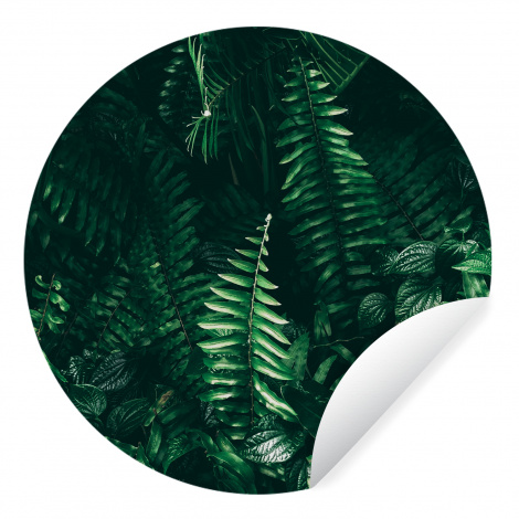 Behangcirkel - Bladeren - Jungle - Natuur - Tropisch - Planten-1