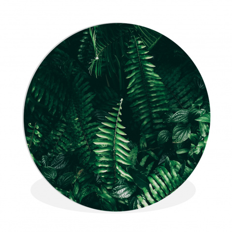 Runde Bilder - Blätter - Dschungel - Natur - Tropisch - Pflanzen-1