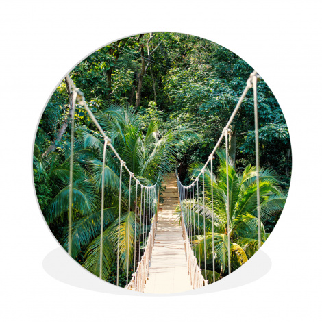 Runde Bilder - Dschungel - Palme - Brücke - Natur - Pflanzen