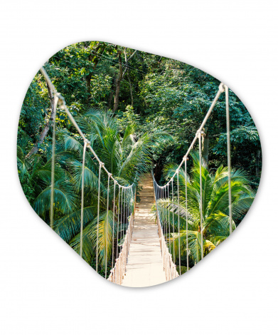 Organisches wandbild - Dschungel - Palme - Brücke