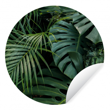 Behangcirkel - Planten - Jungle - Bladeren - Tropisch-thumbnail-1
