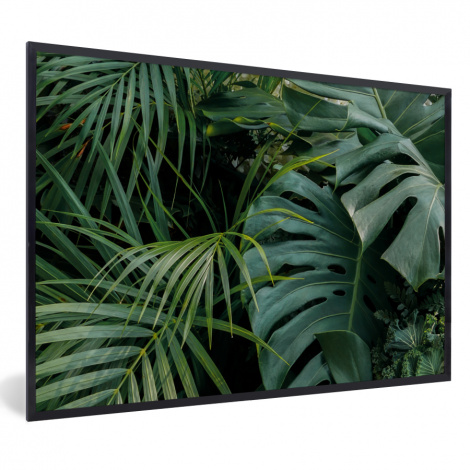 Poster met lijst - Planten - Jungle - Bladeren - Tropisch - Liggend