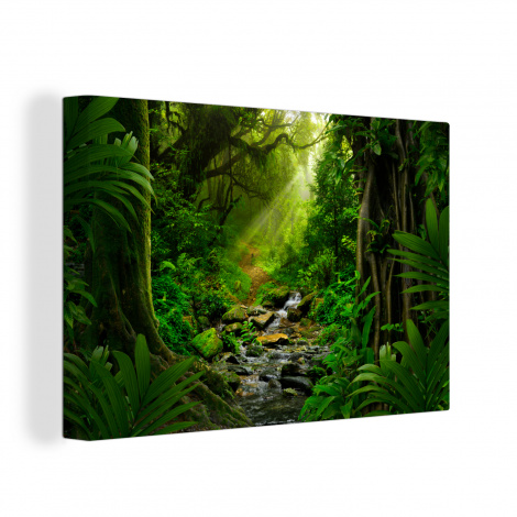 Canvas schilderij - Jungle - Water - bladeren - Zon-1