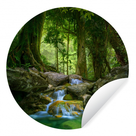 Behangcirkel - Jungle - Stenen - Water - Natuur - Planten-thumbnail-1