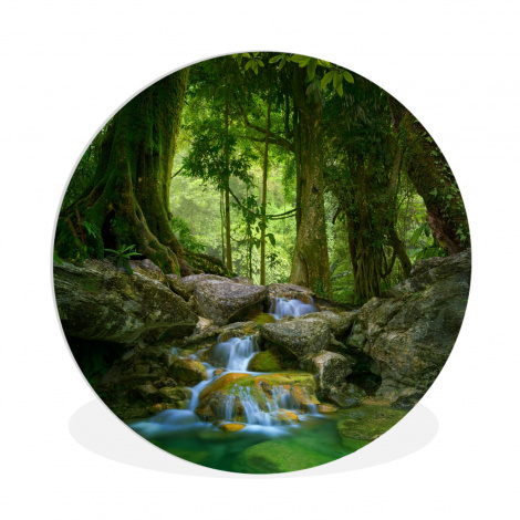 Runde Bilder - Dschungel - Steine - Wasser - Natur - Pflanzen-1
