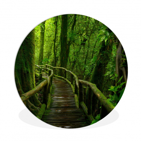 Runde Bilder - Dschungel - Brücke - Moos - Natur - Tropisch-1