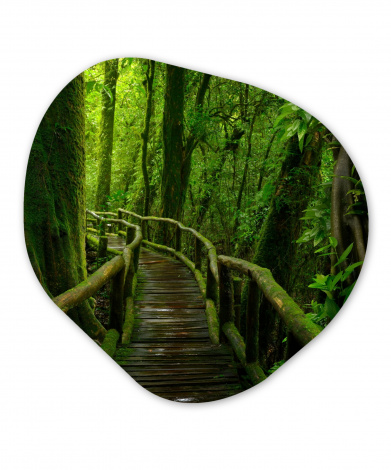 Organisches wandbild - Dschungel - Brücke - Moos - Natur - Tropisch-1