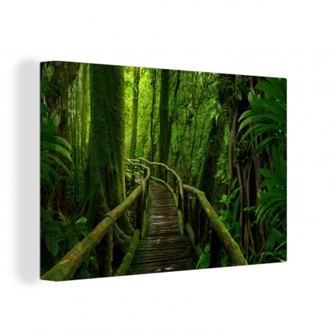 Canvas schilderij - Jungle - Brug - Mos - Natuur - Tropisch