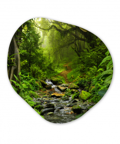 Organisch schilderij - Natuur - Water - Jungle - Bos - Tropisch-thumbnail-1