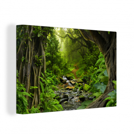 Canvas - Natuur - Water - Jungle - Bos - Tropisch