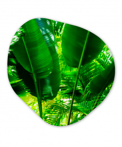 Organisch schilderij - Tropische bladeren in jungle fotoprint-1