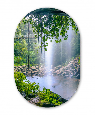 Muurovaal - Foto van regenwoud met waterval-1